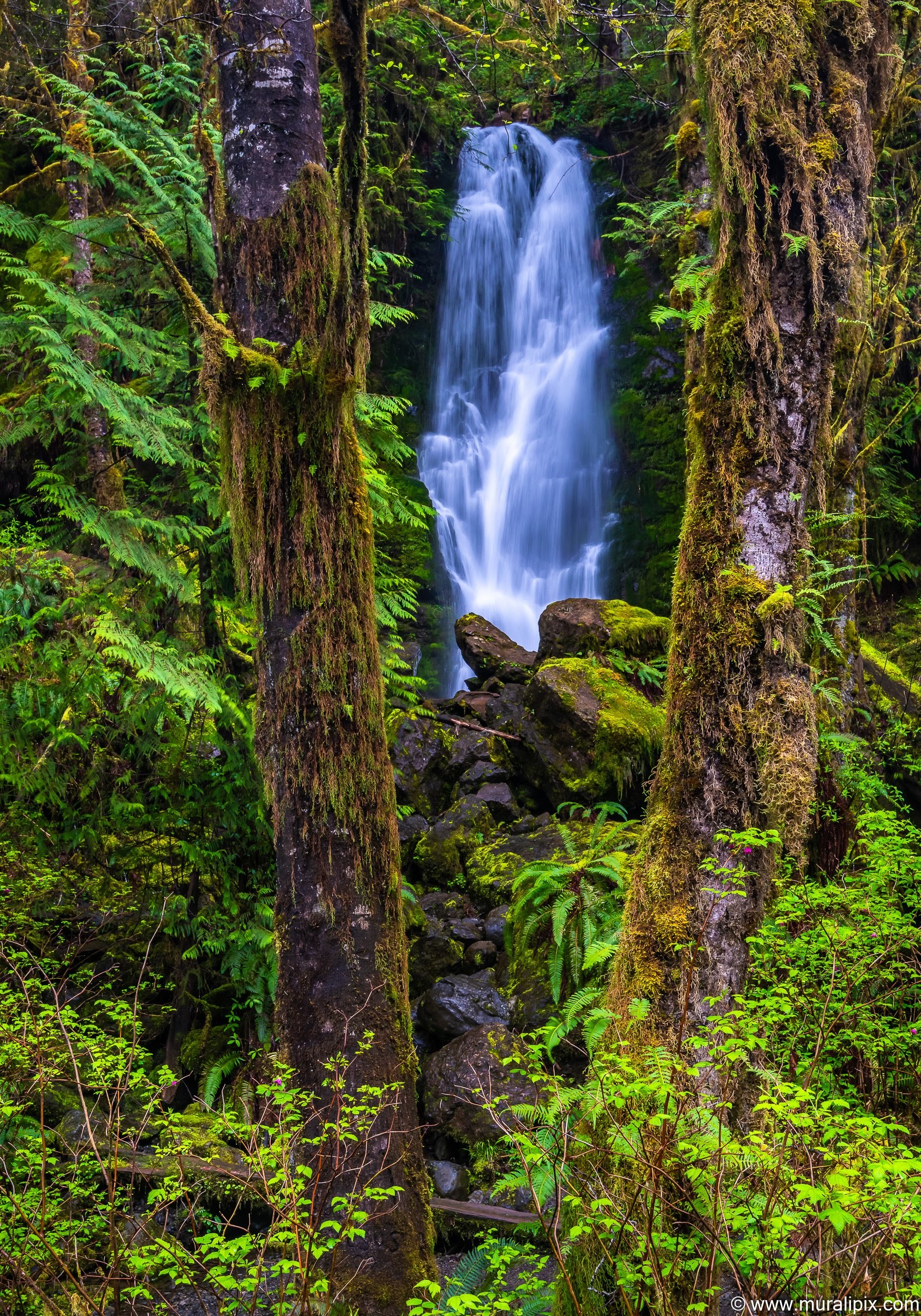 merriman-creek-falls-2-2019