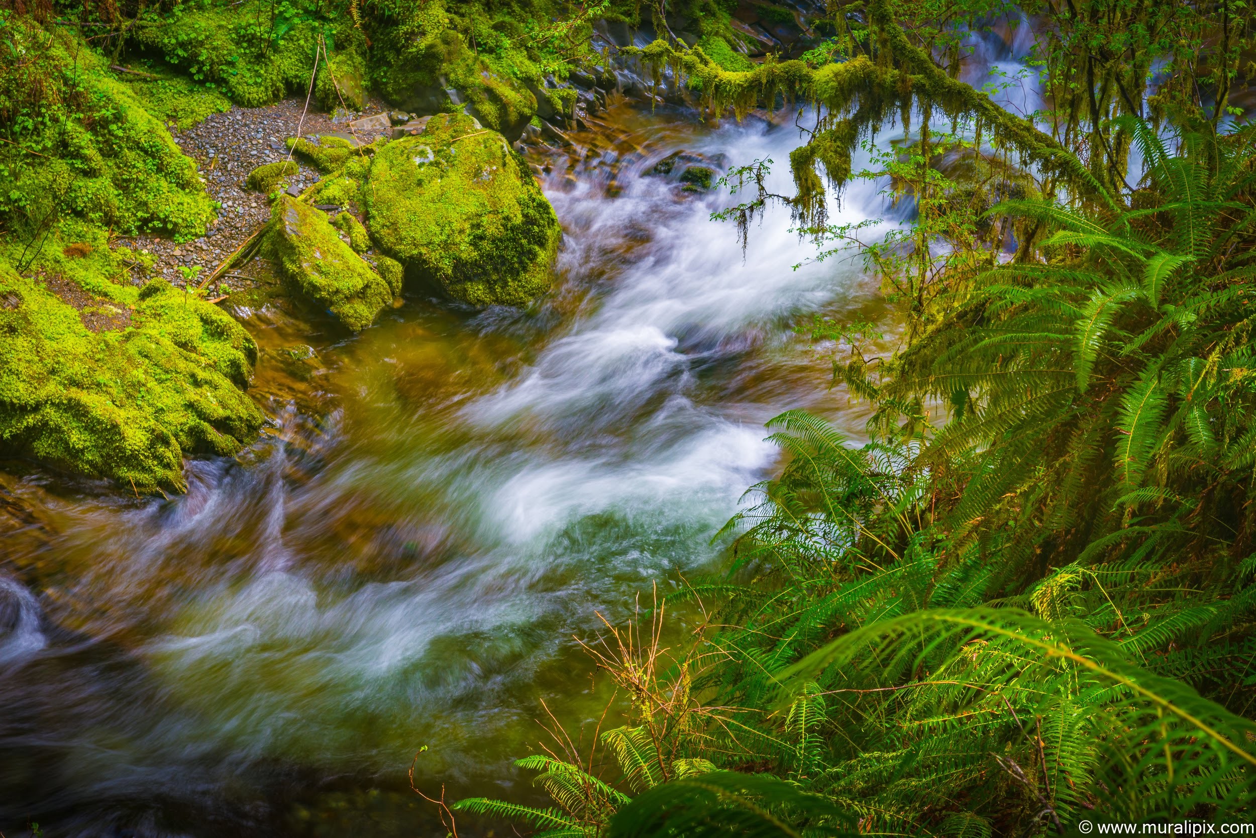 willaby-creek-2-2019