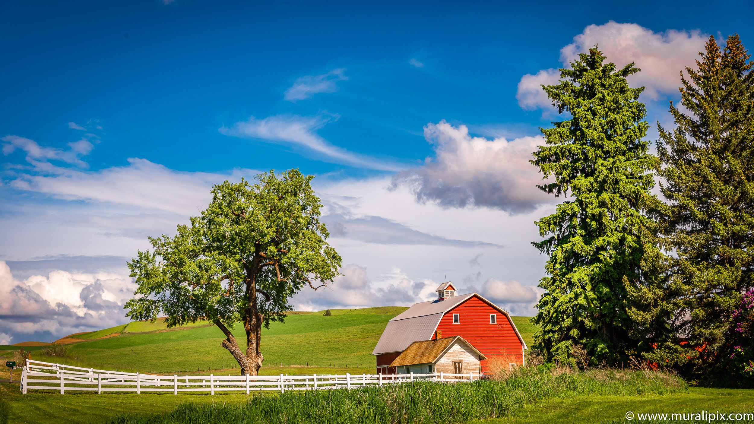 Colfax Red Barn