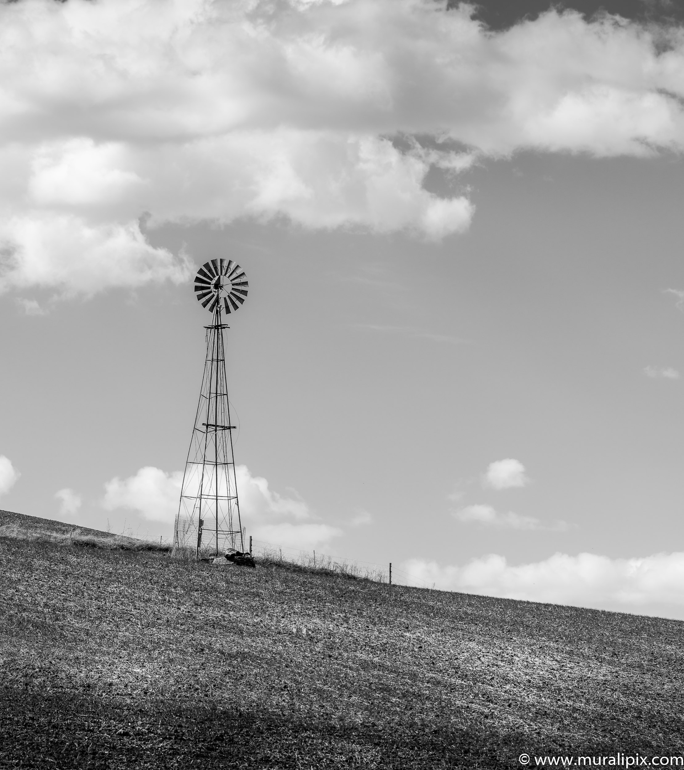 Garfield Windmill in B&W