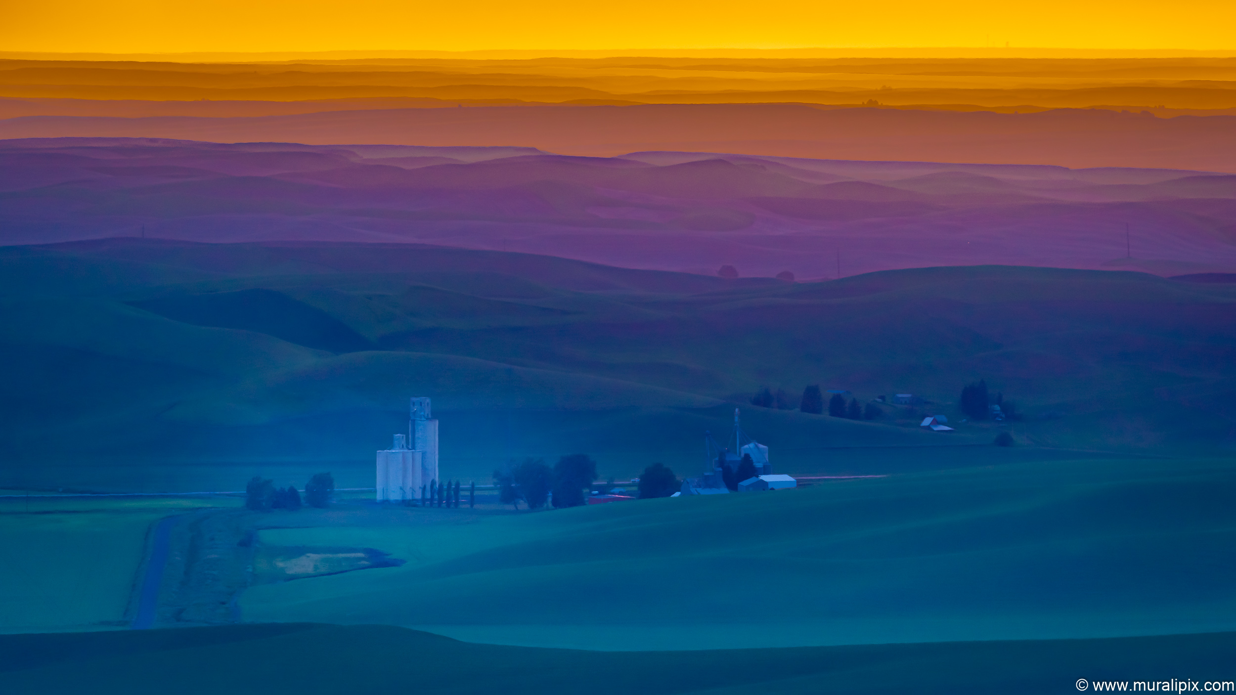 Palouse from Steptoe Butte 05