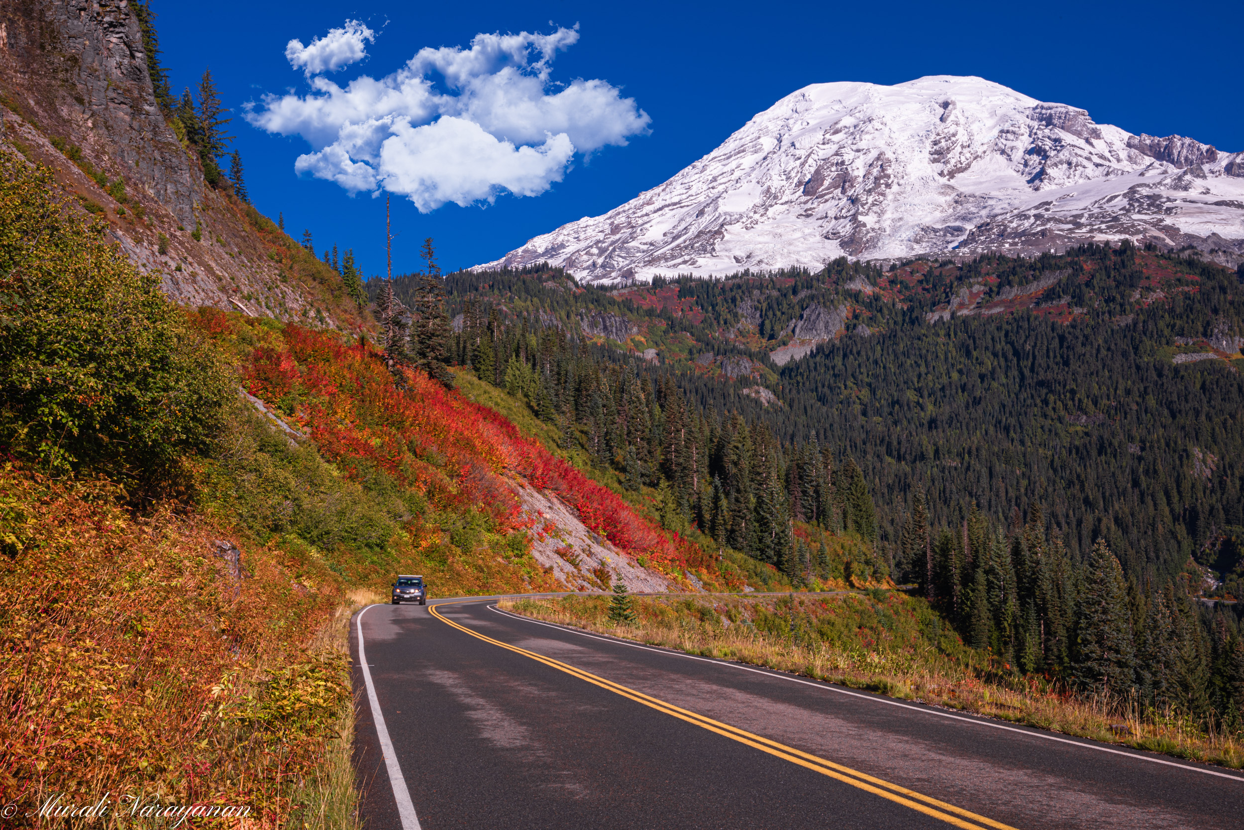 Fall colors in Mt. Rainier National Park – Murali Narayanan Photography