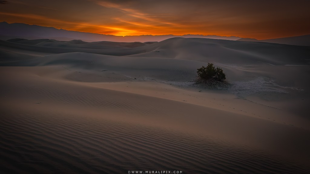 Mesquite Flats Sand Dunes at Death Valley National Park in California at Sunrise