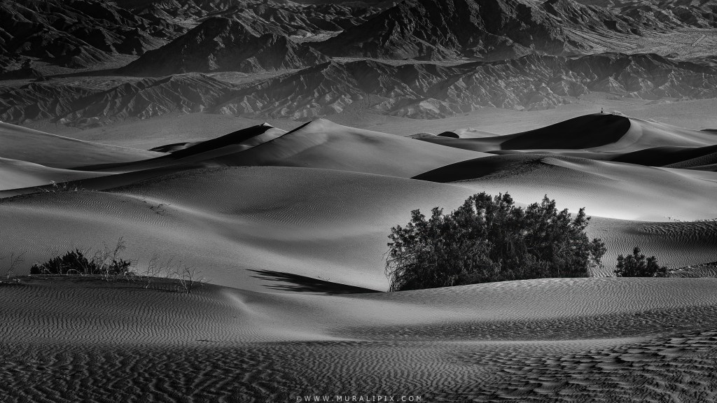 A black & white image of Mesquite Flats Sand Dunes at Death Valley National Park in California just after sunrise