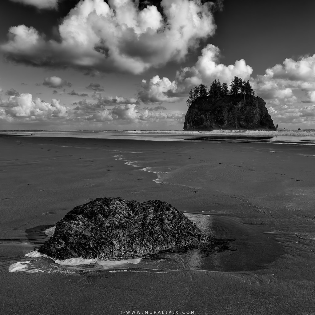 Quileute Needles Seastacks at Low Tide at La Push Second Beach in Olympic Peninsula