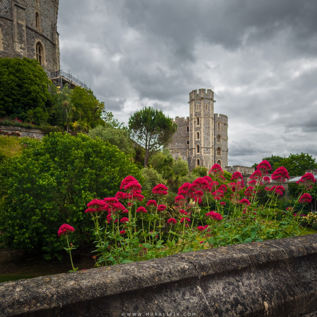 King Edward III Tower Viewed from along the Moat Garden