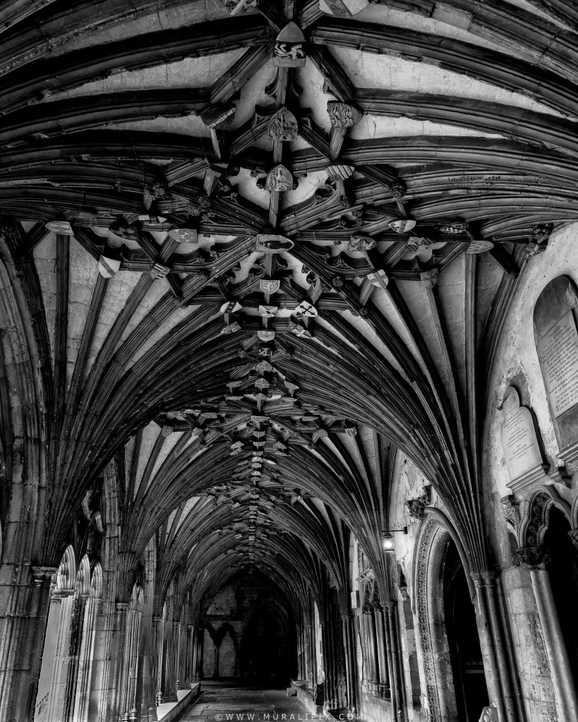 Canterbury Cathedral Cloister