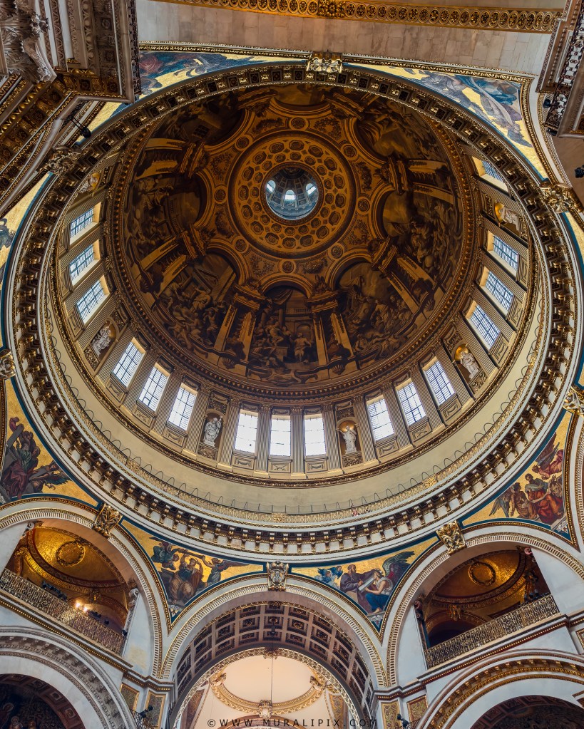 Doe of St. Paul's Cathedral